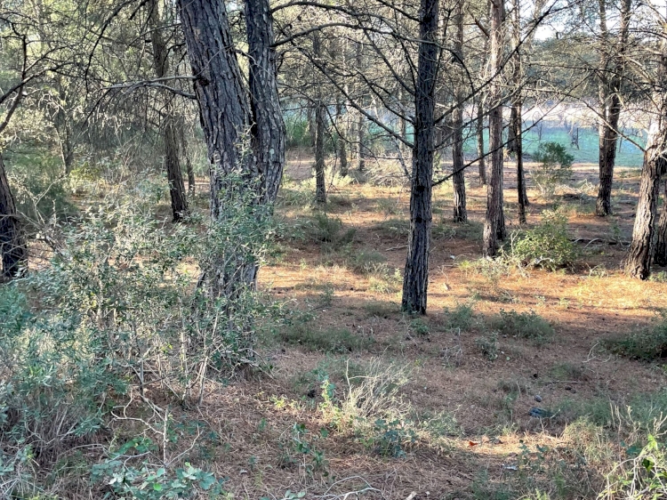 Terrain agricole dans une Zone naturelle .