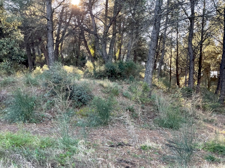 Terrain agricole dans une Zone naturelle .