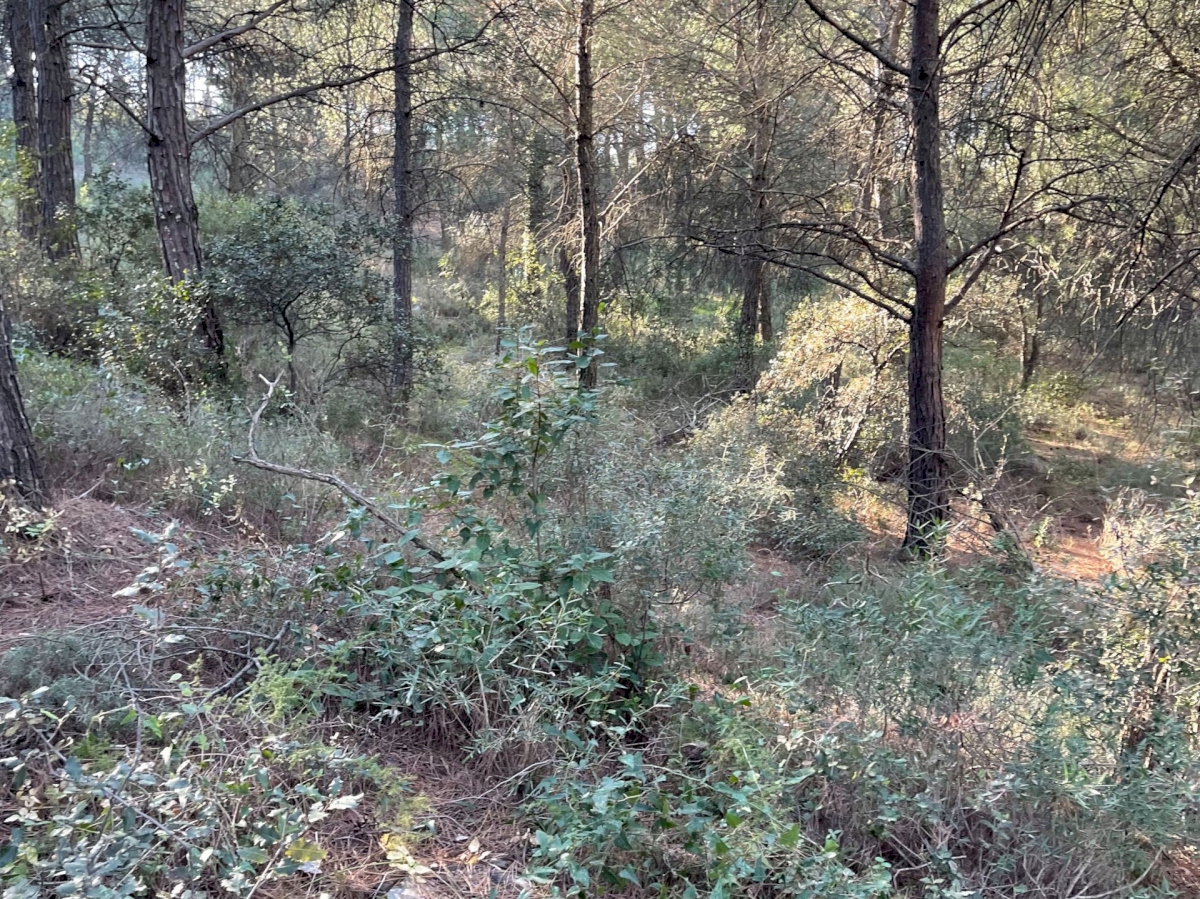 Terrain agricole dans une Zone naturelle .