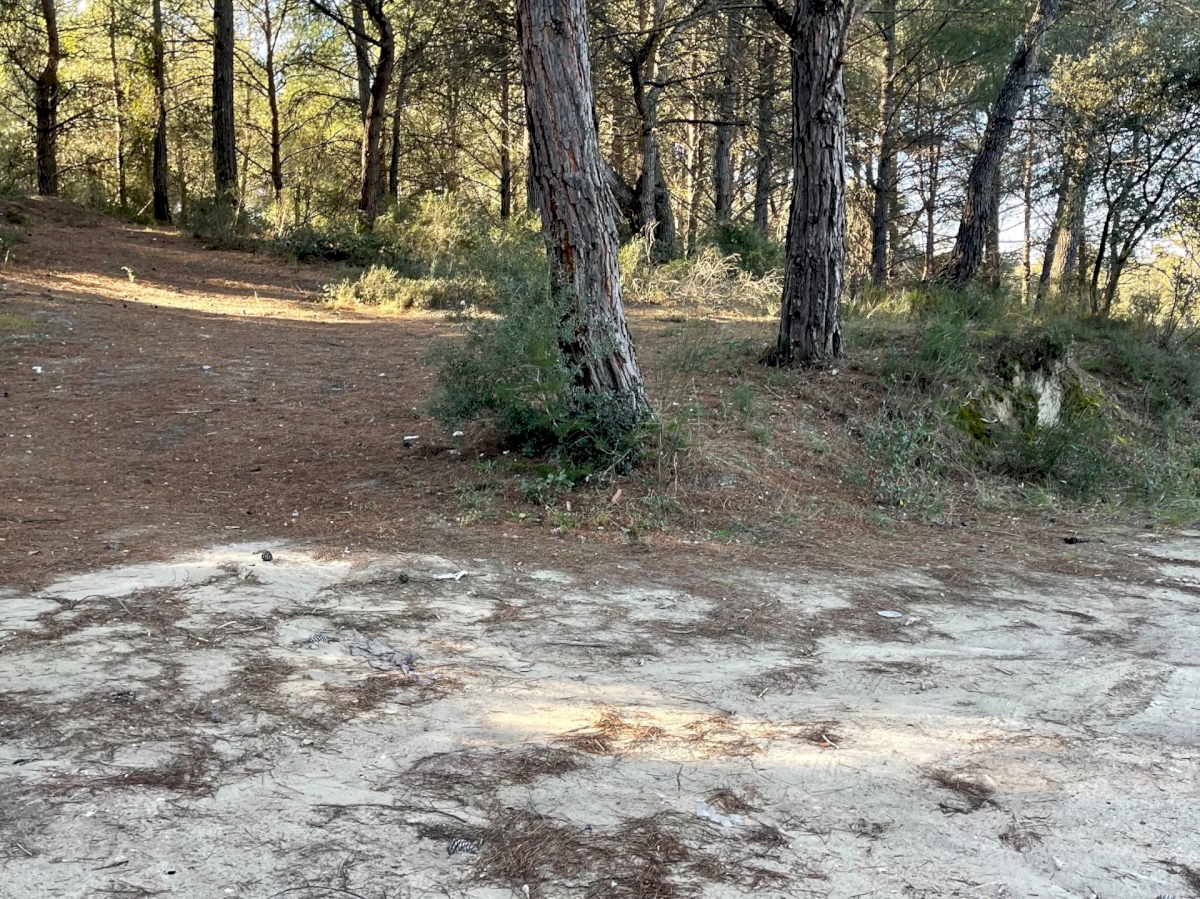 Terrain agricole dans une Zone naturelle .