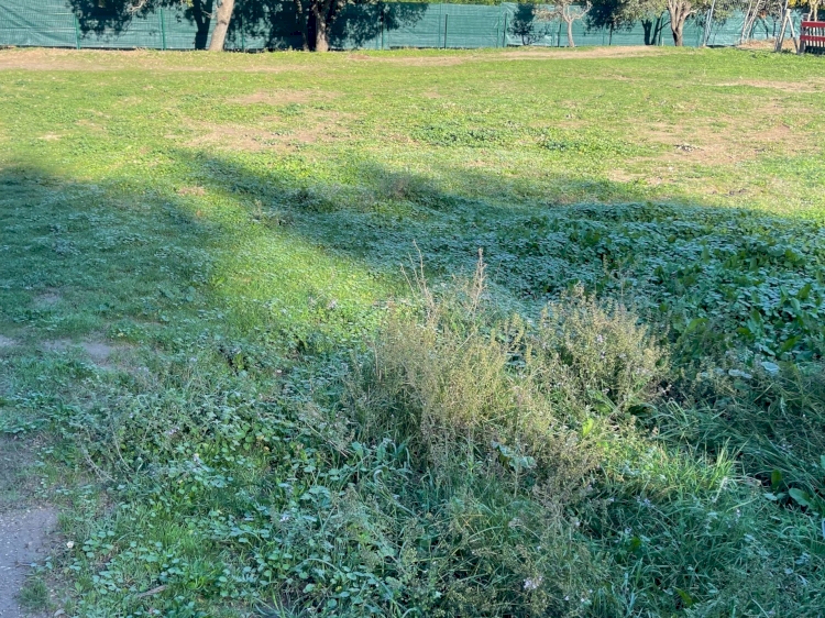 TERRAIN EN ZONE NATURELLE