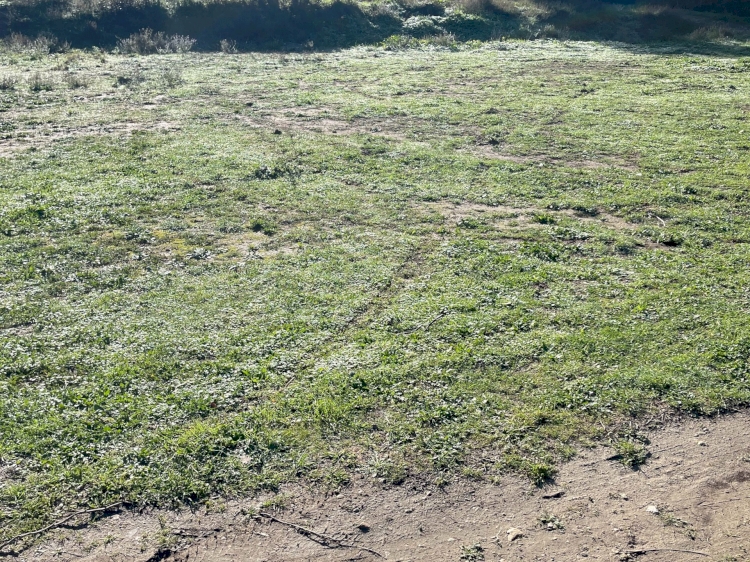 TERRAIN EN ZONE NATURELLE