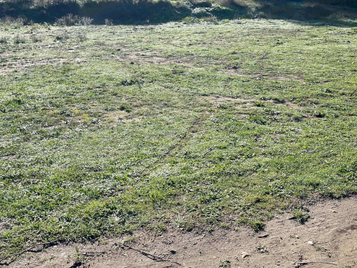 TERRAIN EN ZONE NATURELLE